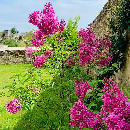 Mdc St Emilion * Saint-Émilion