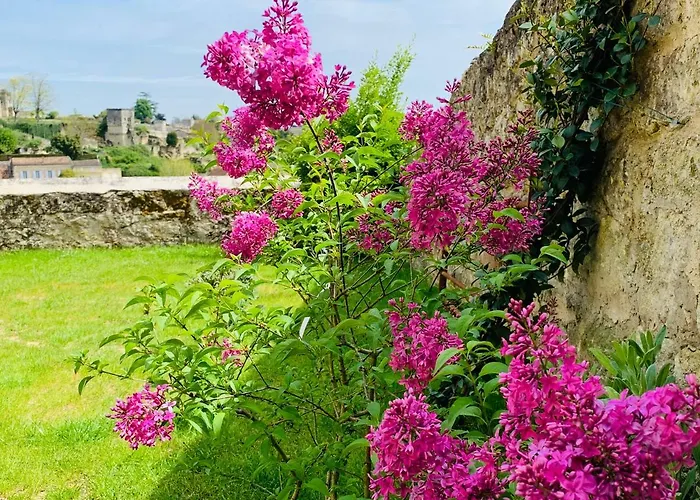 Mdc St Emilion * 생테밀리옹